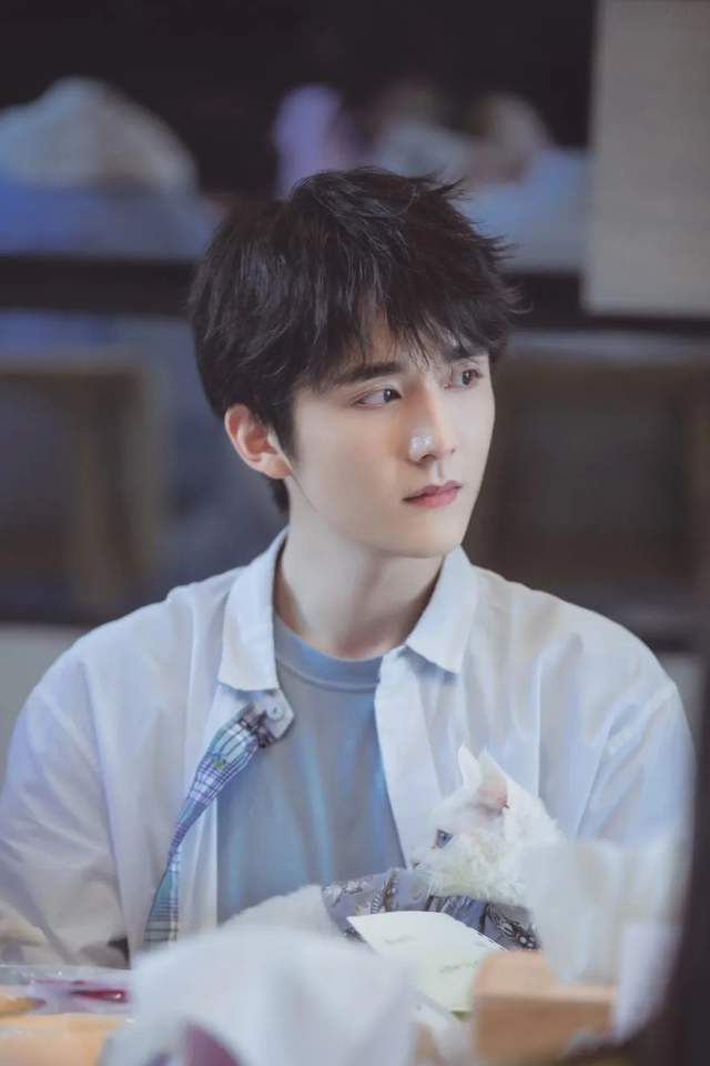 张新成演技_张新演过的电视_演员张新成的个人简历