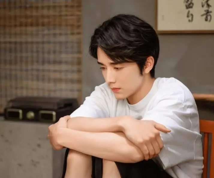 演员表张新成_演员张新成的个人简历_张新成演技