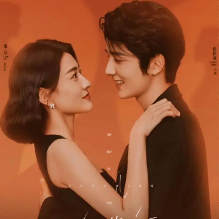 演员表张新成_演员张新成的个人简历_张新成演技