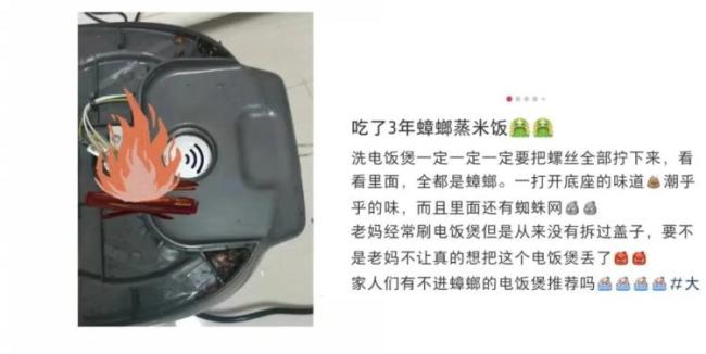 电饭煲4个地方不洗变“蟑螂蒸饭”
