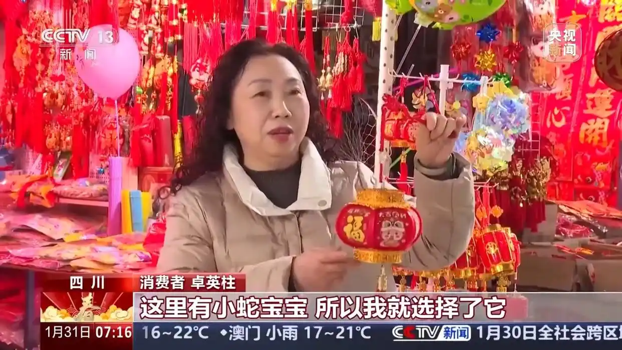 蛇年遇猪年运势_当蛇年新春遇上“两新”扩围_新年遇到蛇怎么解释