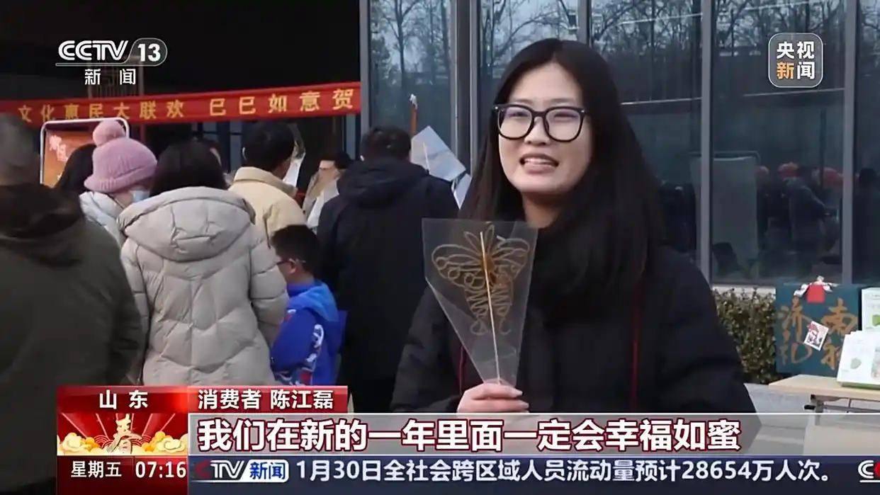 蛇年遇猪年运势_当蛇年新春遇上“两新”扩围_新年遇到蛇怎么解释