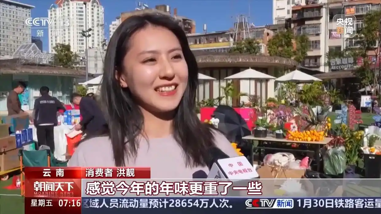 当蛇年新春遇上“两新”扩围_新年遇到蛇怎么解释_蛇年遇猪年运势