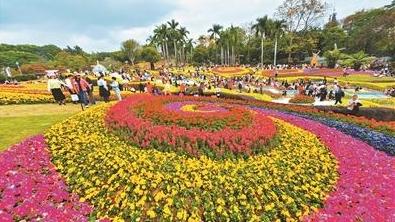 广州新年生机十足 多处赏花景点游人如织