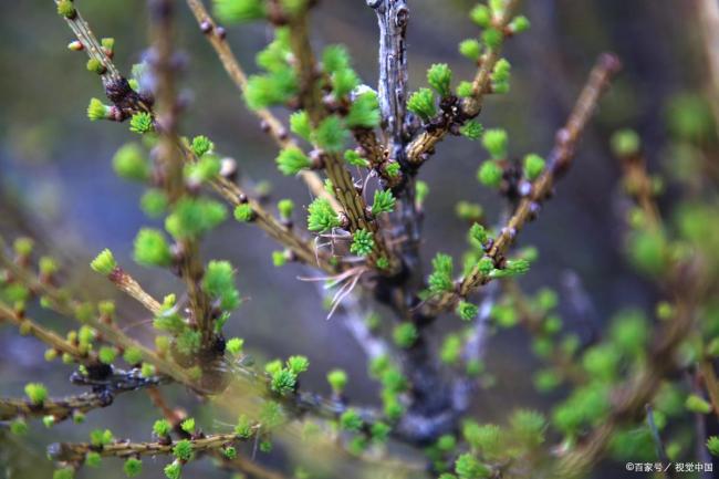 立春躲春的正确方式