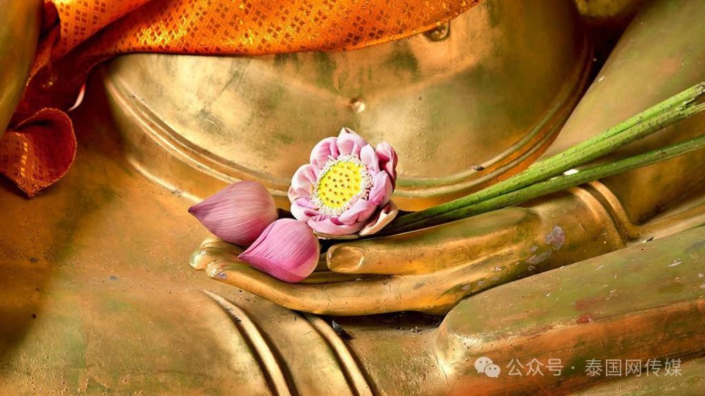 中国泰国高铁什么通车_泰国高铁最后谁中标了_泰国内阁批准中泰高铁二期项目