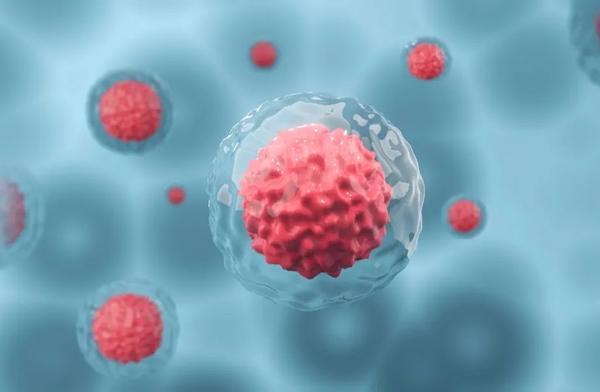 远离肺癌肝癌从这些小习惯开始 科学预防守护健康