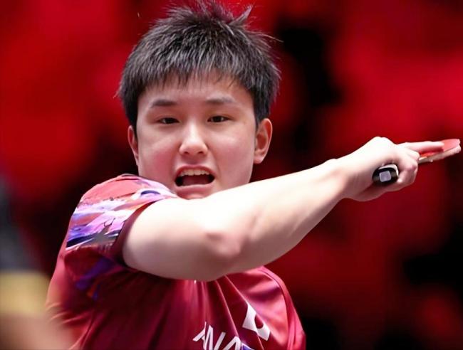 张本智和大满贯出局