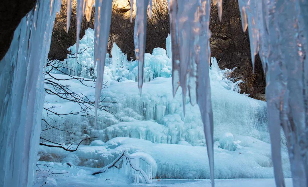 共赴冰雪之约_不辞冰雪赴相思全文免费阅读_冰雪赴相思