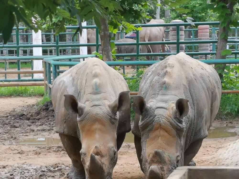共赴冰雪之约_不辞冰雪赴相思全文免费阅读_冰雪赴相思