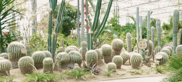 冰雪赴相思_共赴冰雪之约_不辞冰雪赴相思全文免费阅读