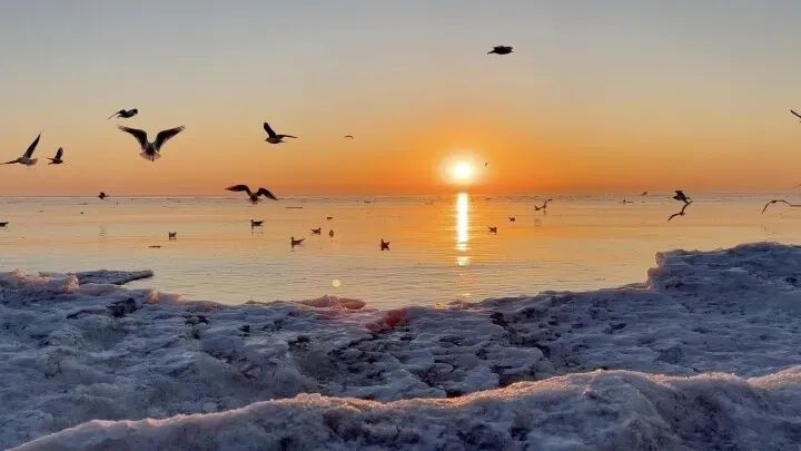 不辞冰雪赴相思全文免费阅读_共赴冰雪之约_冰雪赴相思