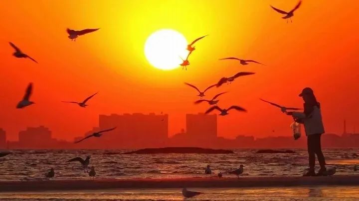 不辞冰雪赴相思全文免费阅读_冰雪赴相思_共赴冰雪之约