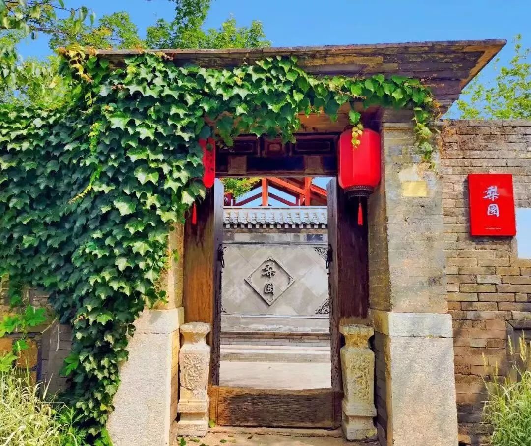 共赴冰雪之约_不辞冰雪赴相思全文免费阅读_冰雪赴相思