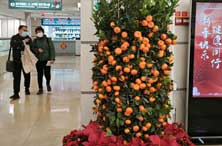 东亚12强赛_看点赛程冬亚队会中国球员吗_亚冬会中国队赛程看点