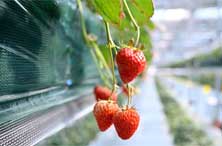 亚冬会中国队赛程看点_看点赛程冬亚队会中国球员吗_东亚12强赛