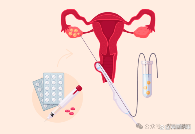 近百名泰国女子被囚禁取卵 跨国骗局曝光