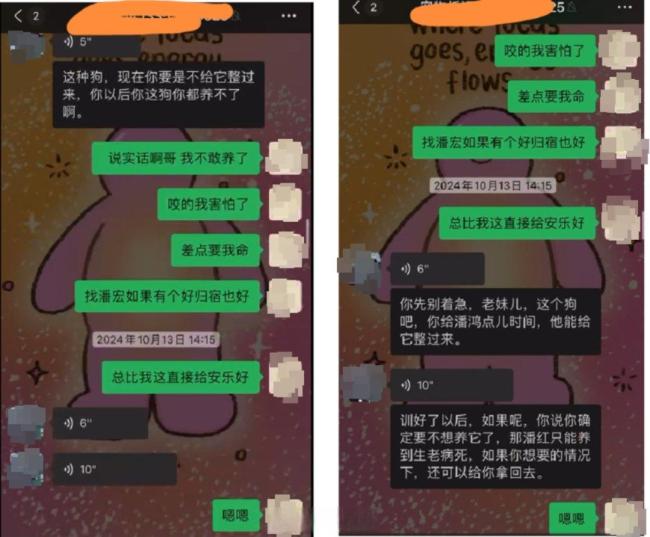 主人取回狗狗被要求不准带货接广告 天价赔偿合同引争议