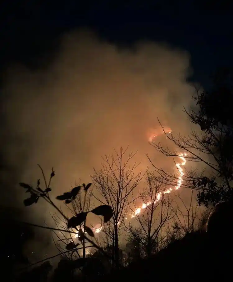 广东清远山火明火已扑灭_广东清明山火_清远纵火