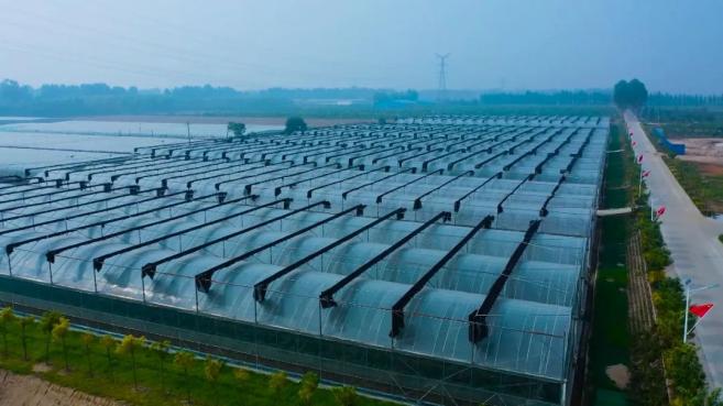 二十国集团深化结构性改革议程_深化部队改革_锚定现代化 改革再深化