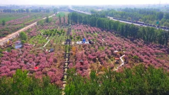 深化部队改革_二十国集团深化结构性改革议程_锚定现代化 改革再深化