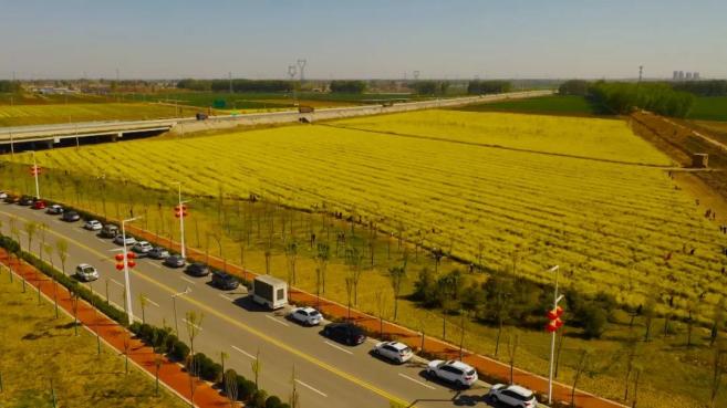 锚定现代化 改革再深化_二十国集团深化结构性改革议程_深化部队改革