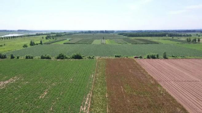 二十国集团深化结构性改革议程_锚定现代化 改革再深化_深化部队改革