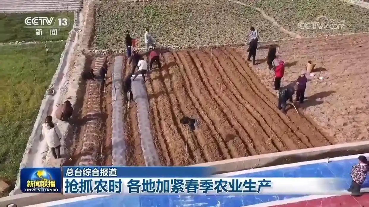 增强市场活力是什么意思_“两新”政策加力扩围 激发市场活力_增加市场活力