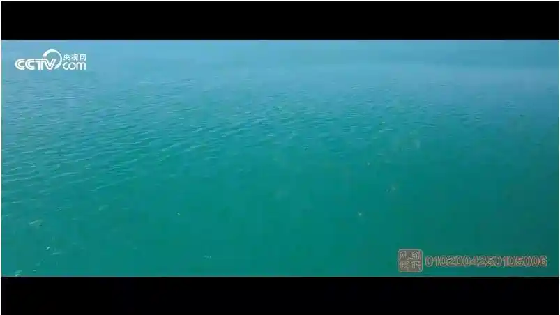 青山绿水间下一句诗词_绿水青山间_爱在青山绿水间