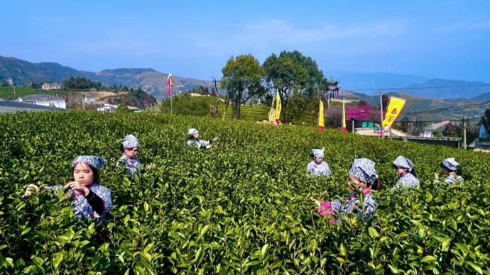 风翩翩云芊芊青山绿水间_绿水青山间_电视剧爱在青山绿水间