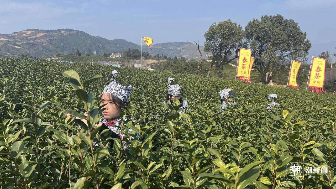 风翩翩云芊芊青山绿水间_绿水青山间_爱在青山绿水间