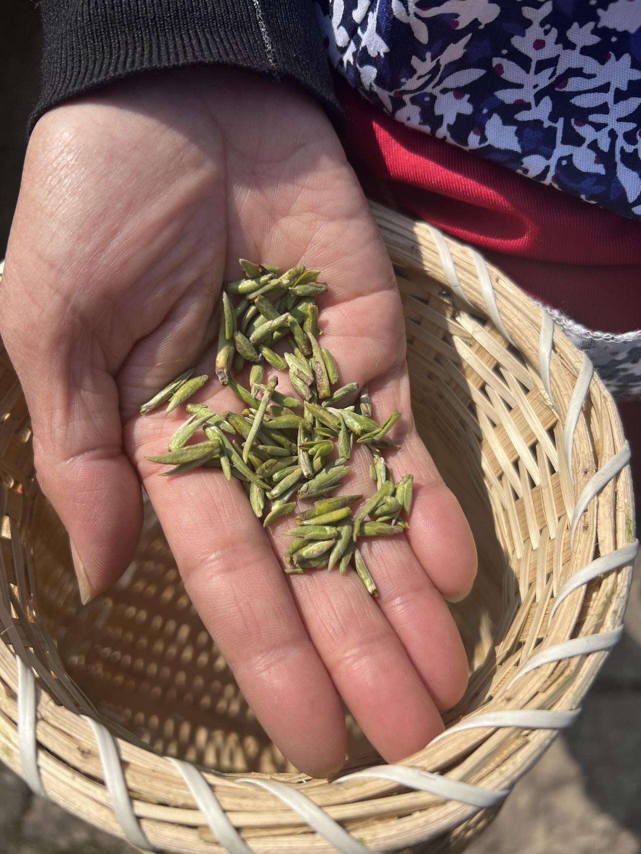 爱在青山绿水间_风翩翩云芊芊青山绿水间_绿水青山间