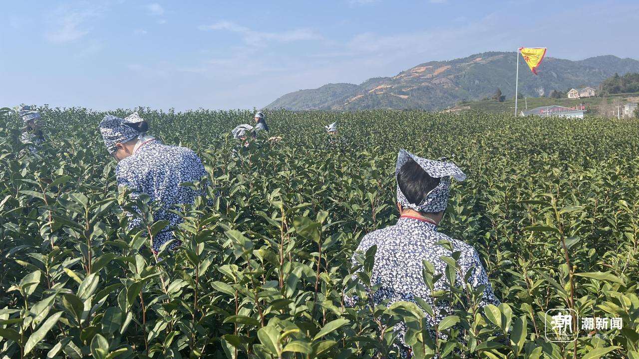 爱在青山绿水间_绿水青山间_风翩翩云芊芊青山绿水间