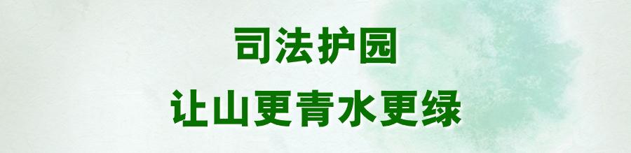 爱在青山绿水间_青山绿水间白云已走远是什么歌_绿水青山间