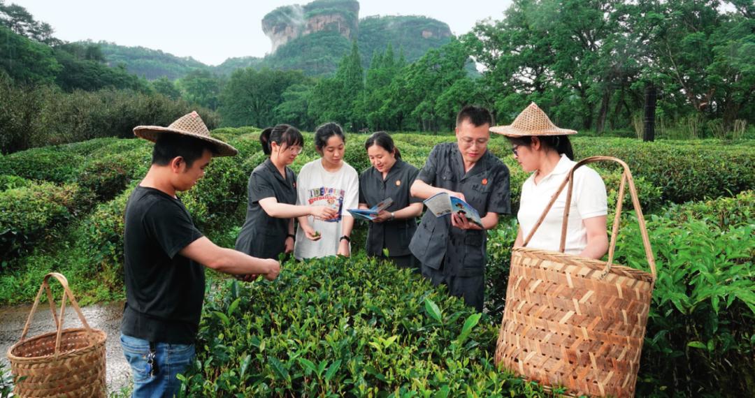 爱在青山绿水间_青山绿水间白云已走远是什么歌_绿水青山间