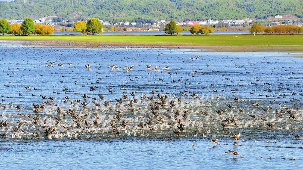绿水青山间_青山绿水间白云已走远是什么歌_爱在青山绿水间
