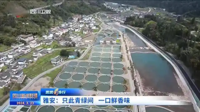 青山绿水间白云已走远是什么歌_绿水青山间_电视剧爱在青山绿水间