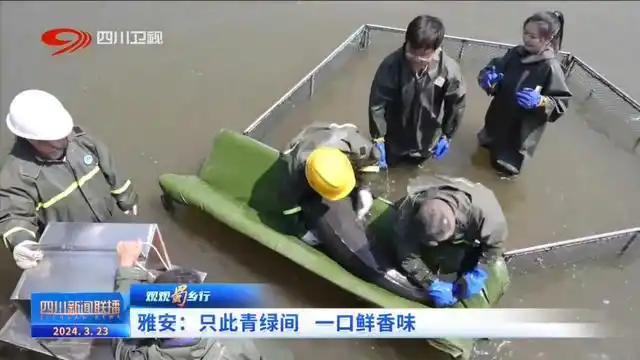 电视剧爱在青山绿水间_青山绿水间白云已走远是什么歌_绿水青山间