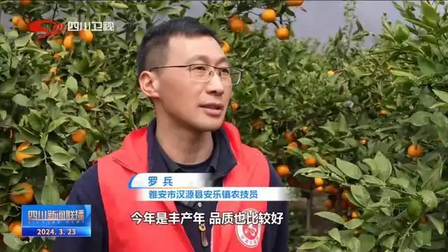 电视剧爱在青山绿水间_绿水青山间_青山绿水间白云已走远是什么歌