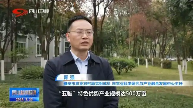 电视剧爱在青山绿水间_青山绿水间白云已走远是什么歌_绿水青山间
