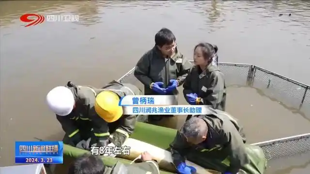 绿水青山间_电视剧爱在青山绿水间_青山绿水间白云已走远是什么歌