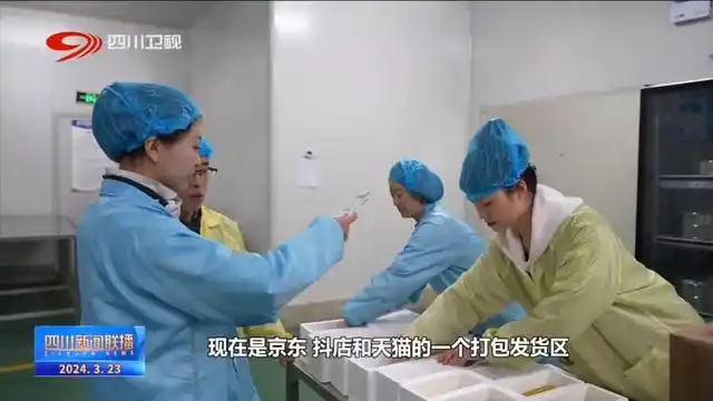 青山绿水间白云已走远是什么歌_绿水青山间_电视剧爱在青山绿水间