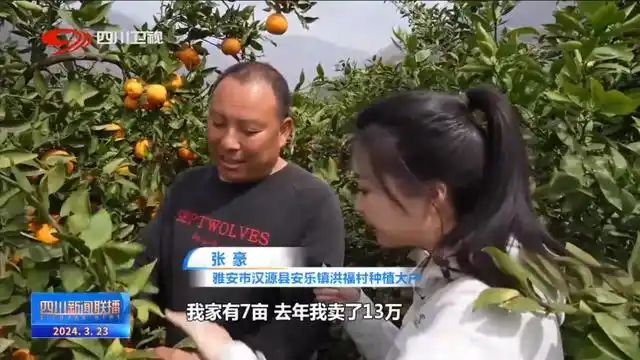 绿水青山间_青山绿水间白云已走远是什么歌_电视剧爱在青山绿水间