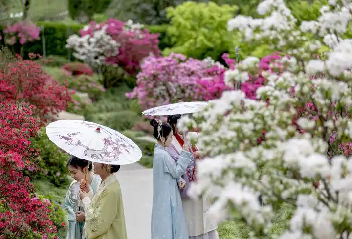 绿水青山间_风翩翩云芊芊青山绿水间_青山绿水间下一句诗词