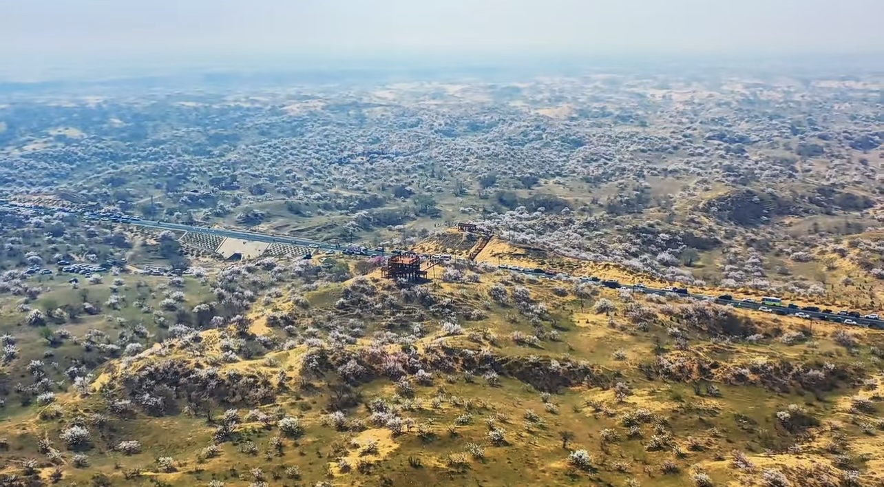 电视剧爱在青山绿水间_青山绿水间白云已走远是什么歌_绿水青山间