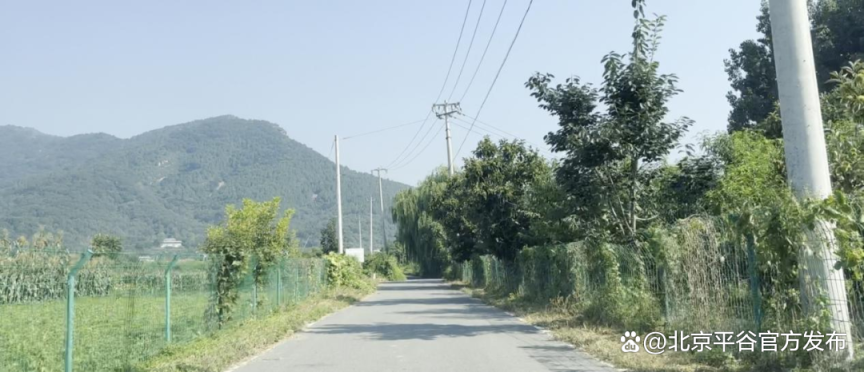 风翩翩云芊芊青山绿水间_绿水青山间_青山绿水间下一句诗词