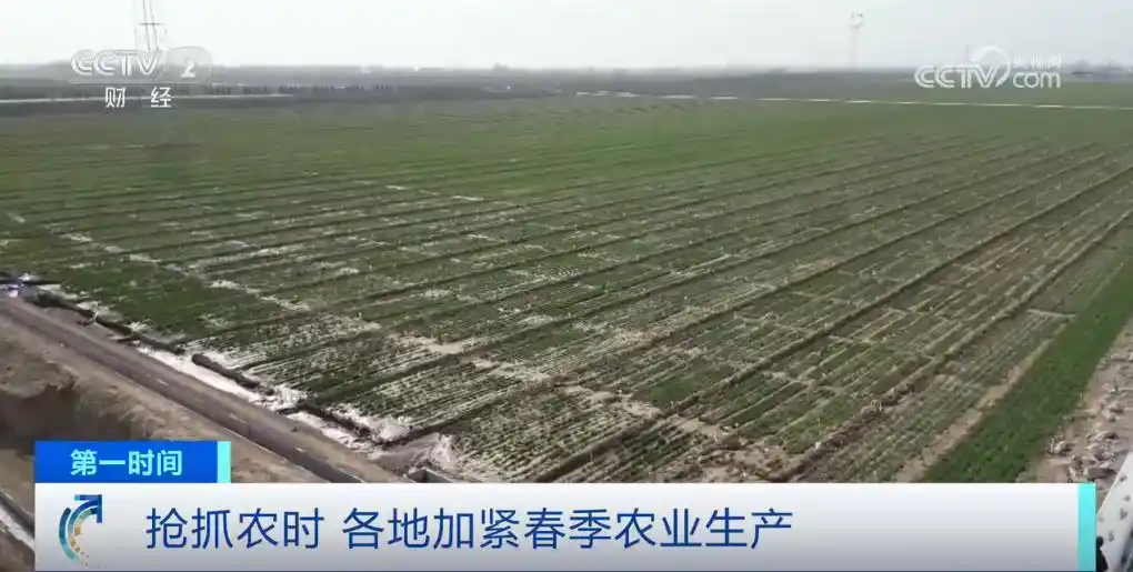 希望田野奏响春耕春管“交响曲”_田野交响乐_奏响田园交响曲