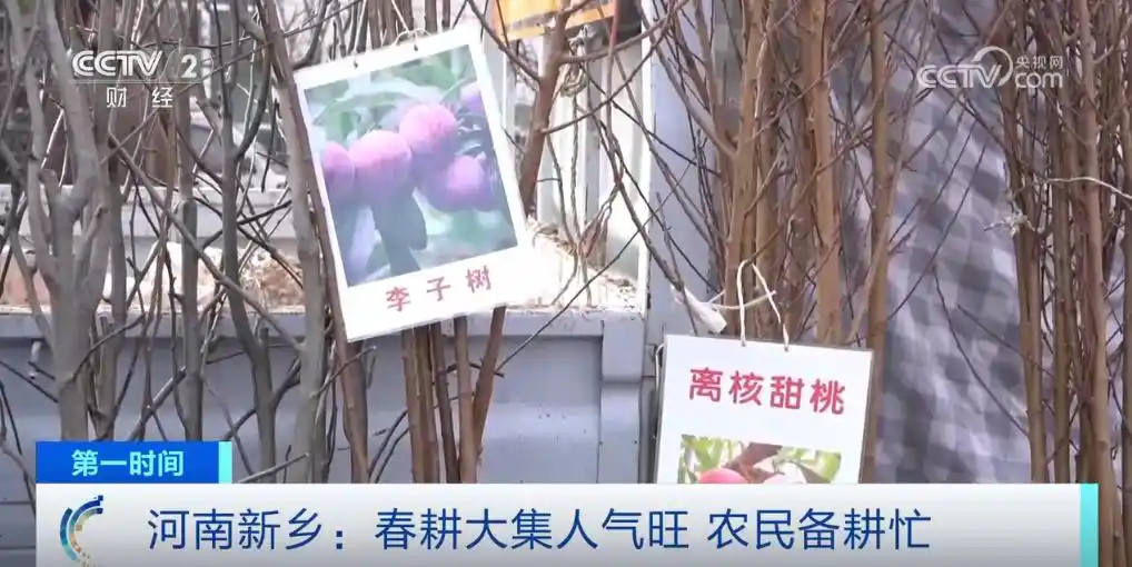 奏响田园交响曲_希望田野奏响春耕春管“交响曲”_田野交响乐