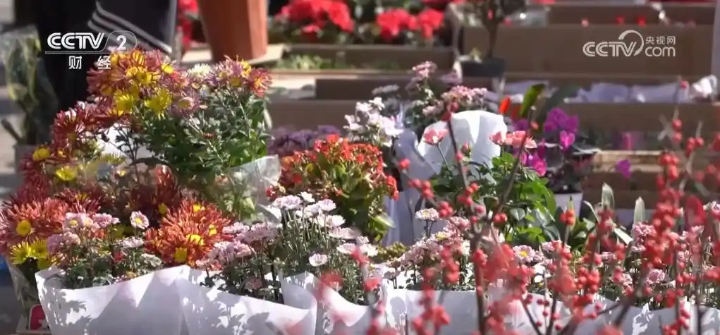 希望田野奏响春耕春管“交响曲”_奏响田园交响曲_田野交响乐