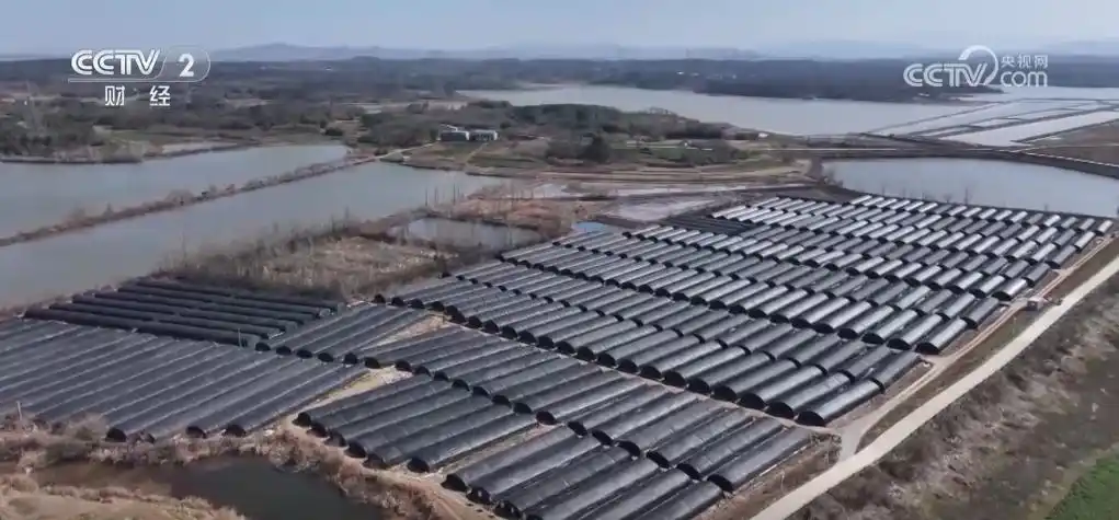 田野交响乐_希望田野奏响春耕春管“交响曲”_奏响田园交响曲